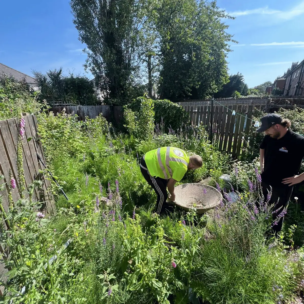 The garden before work, completely overgrown with waist-high growth across the whole plot