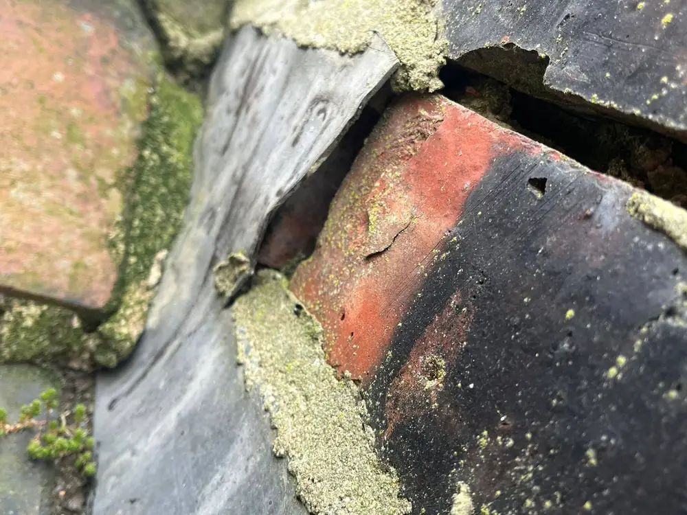 A cracked tile at the junction with slate, with moss along the failed mortar