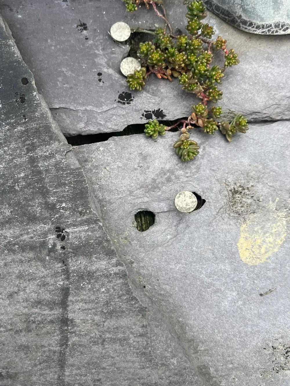 An exposed nail head and an open hole where a fixing has come through the slate