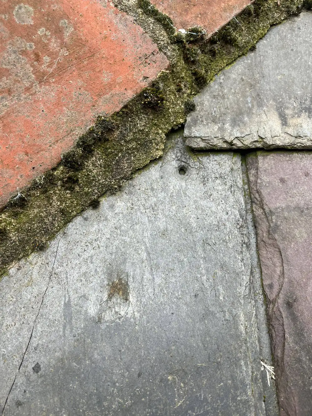 Moss and vegetation rooted in a failed mortar joint on a roof