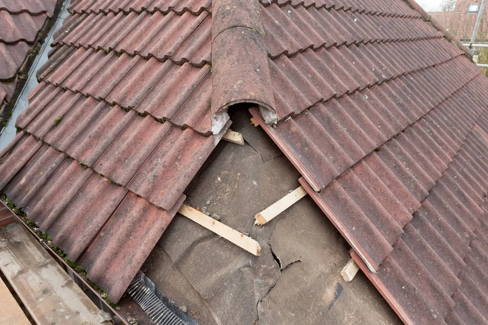 Aged roof tiles stripped back revealing torn underlay and battens